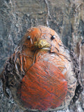 Robin Red Breast Online Tutorial
