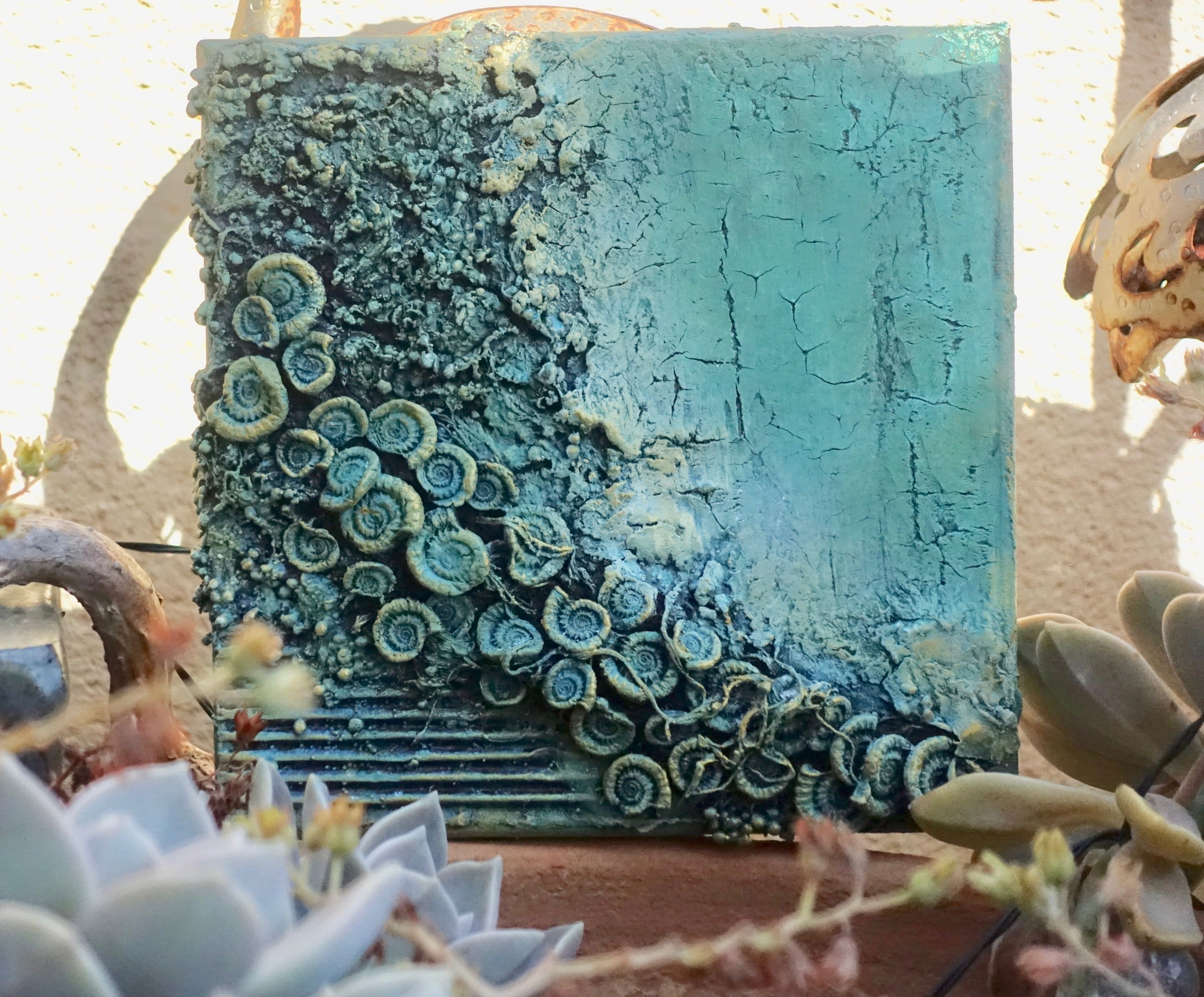 Tracey Evans Online Fossil Beach Tutorials