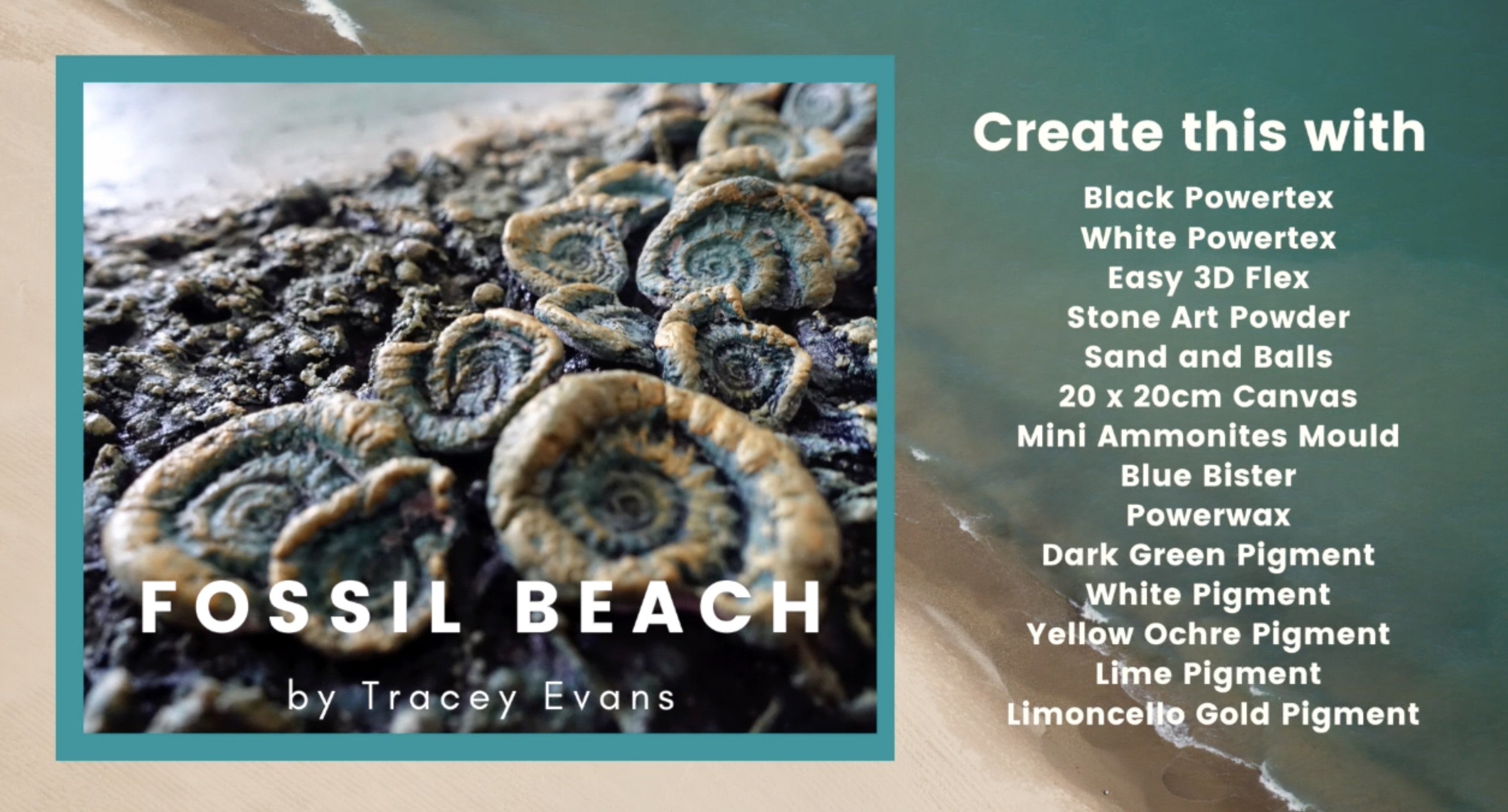 Tracey Evans Online Fossil Beach Tutorials