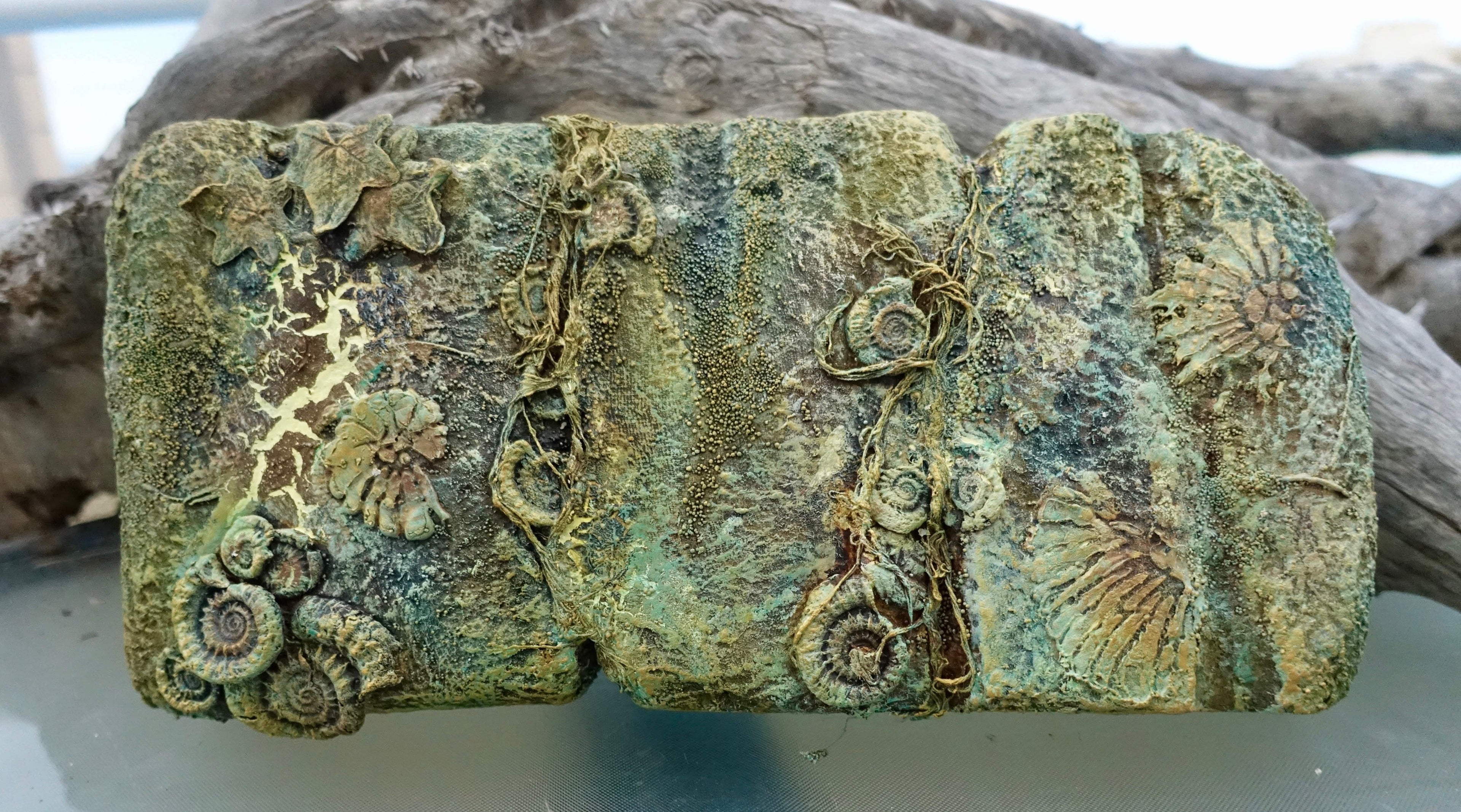 Tracey Evans Online Fossil Beach Tutorials