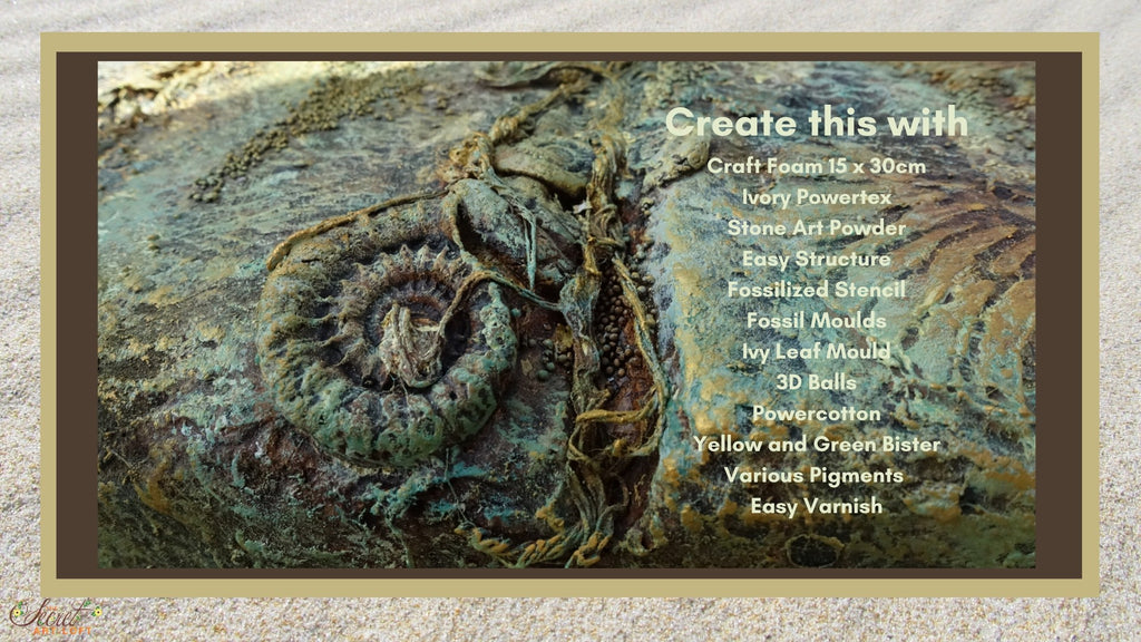 Tracey Evans Online Fossil Beach Tutorials