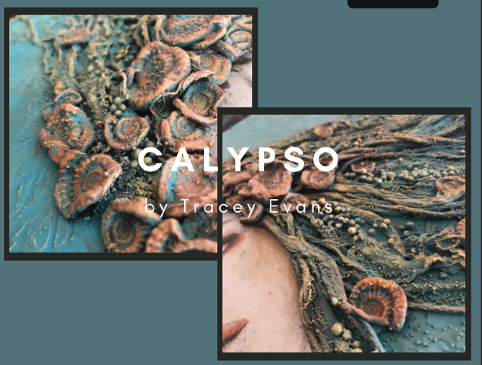 Tracey Evans Online Fossil Beach Tutorials