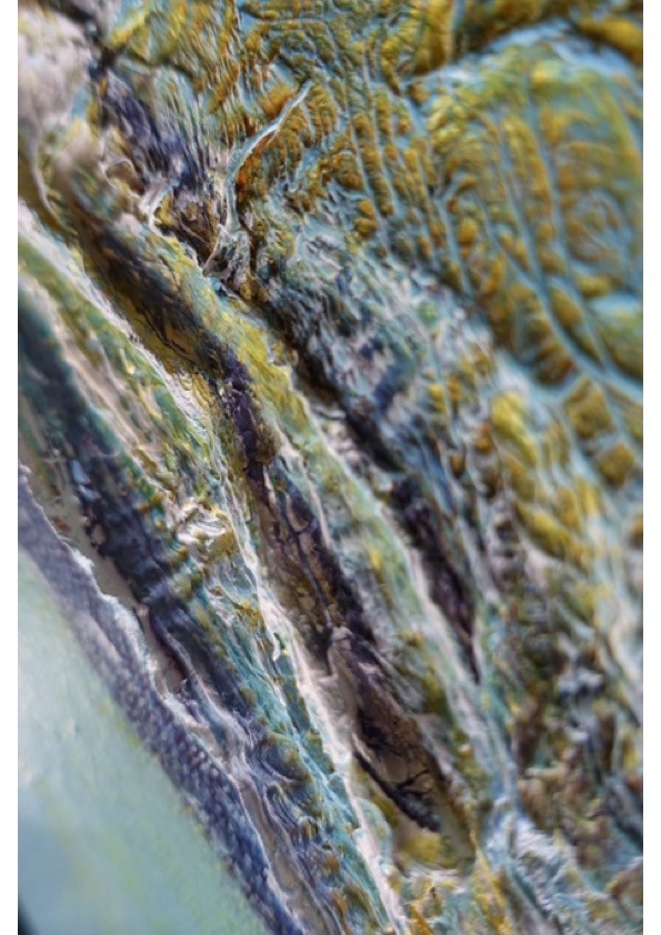 Tracey Evans Online Fossil Beach Tutorials