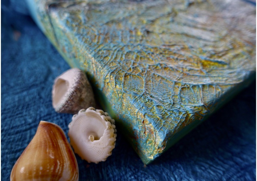 Tracey Evans Online Fossil Beach Tutorials