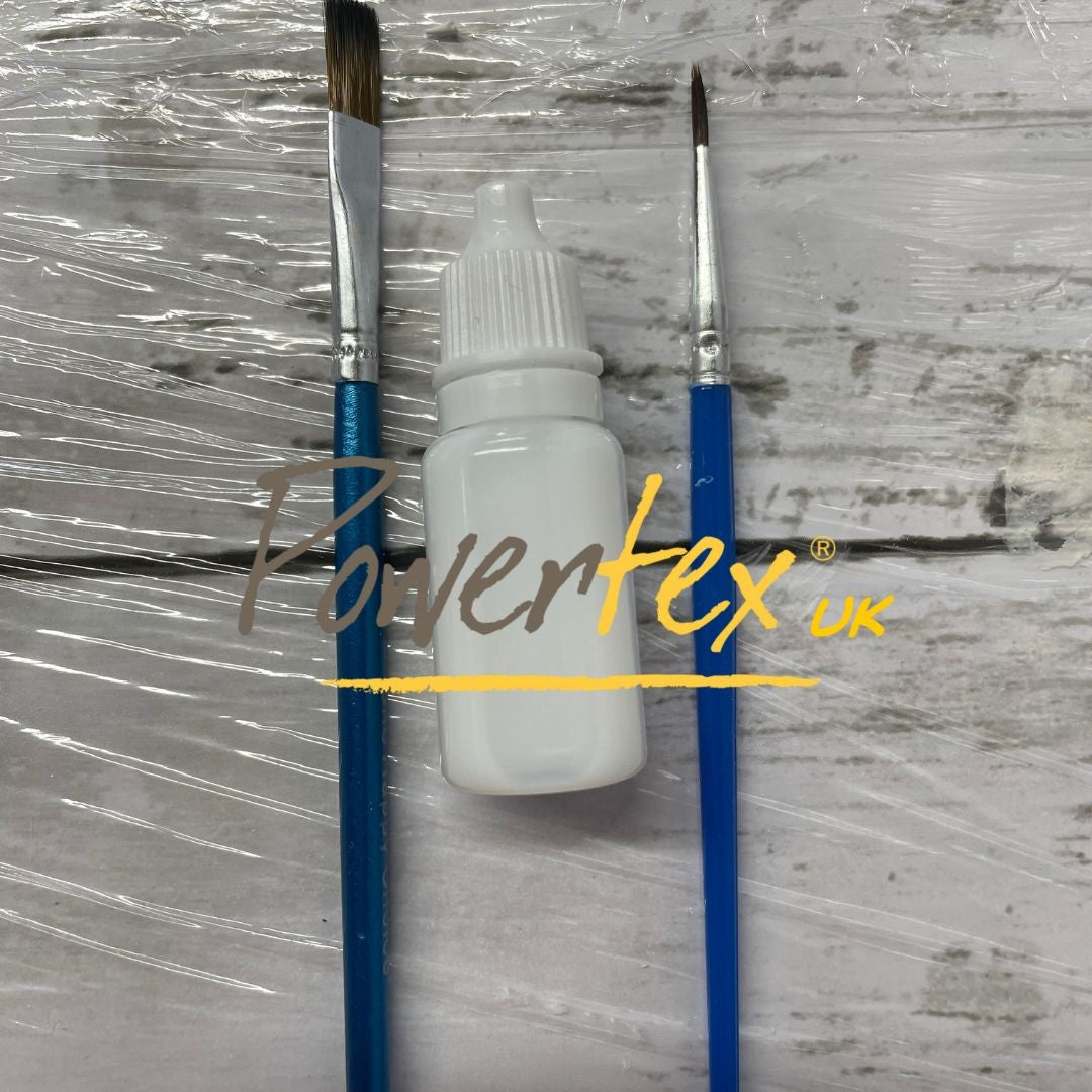 Mini Varnish and Brushes Set