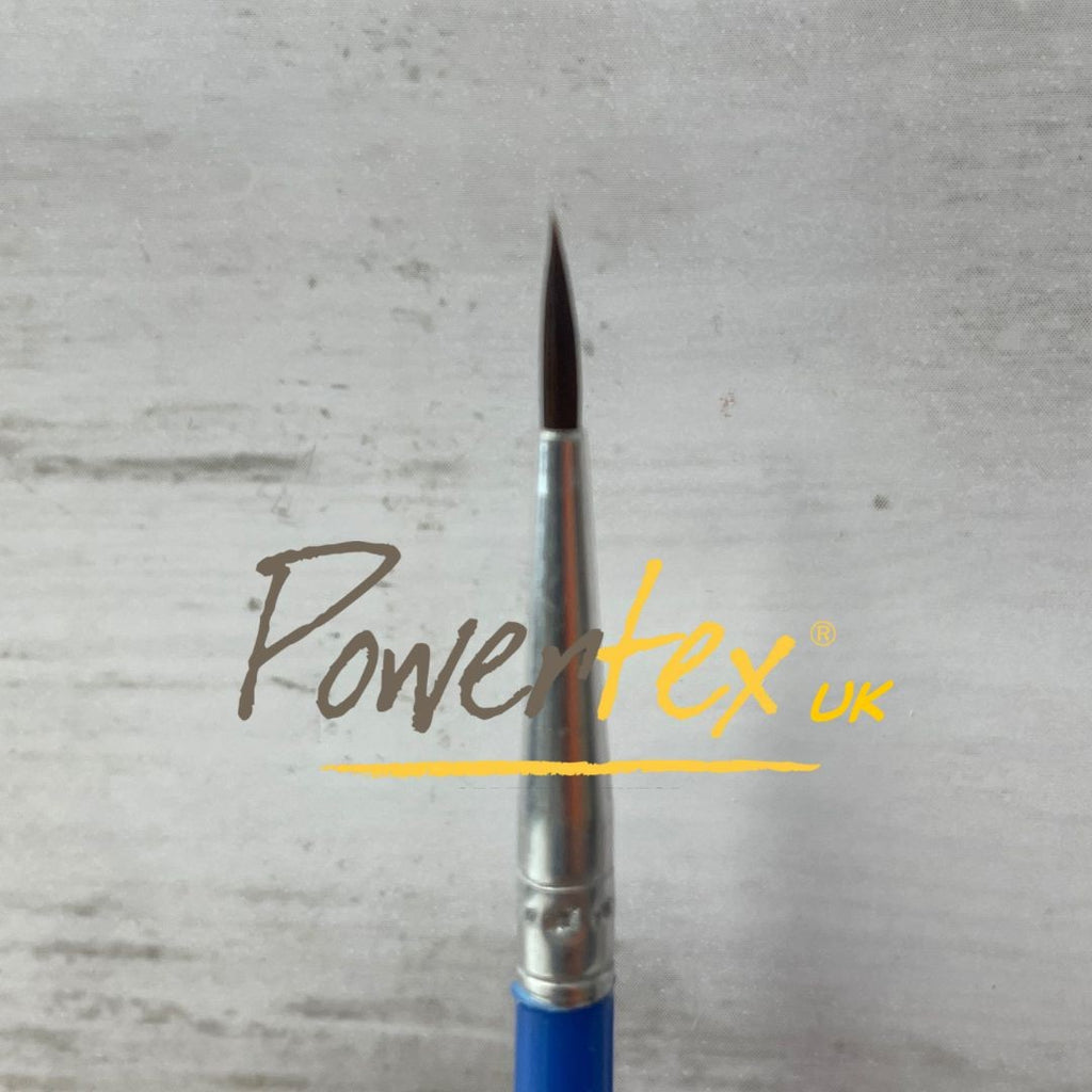 Mini Varnish and Brushes Set