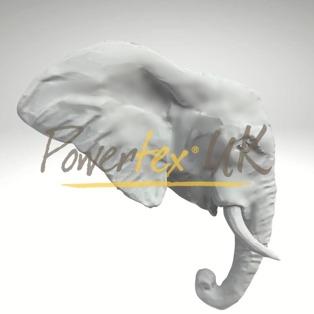 Animal Heads