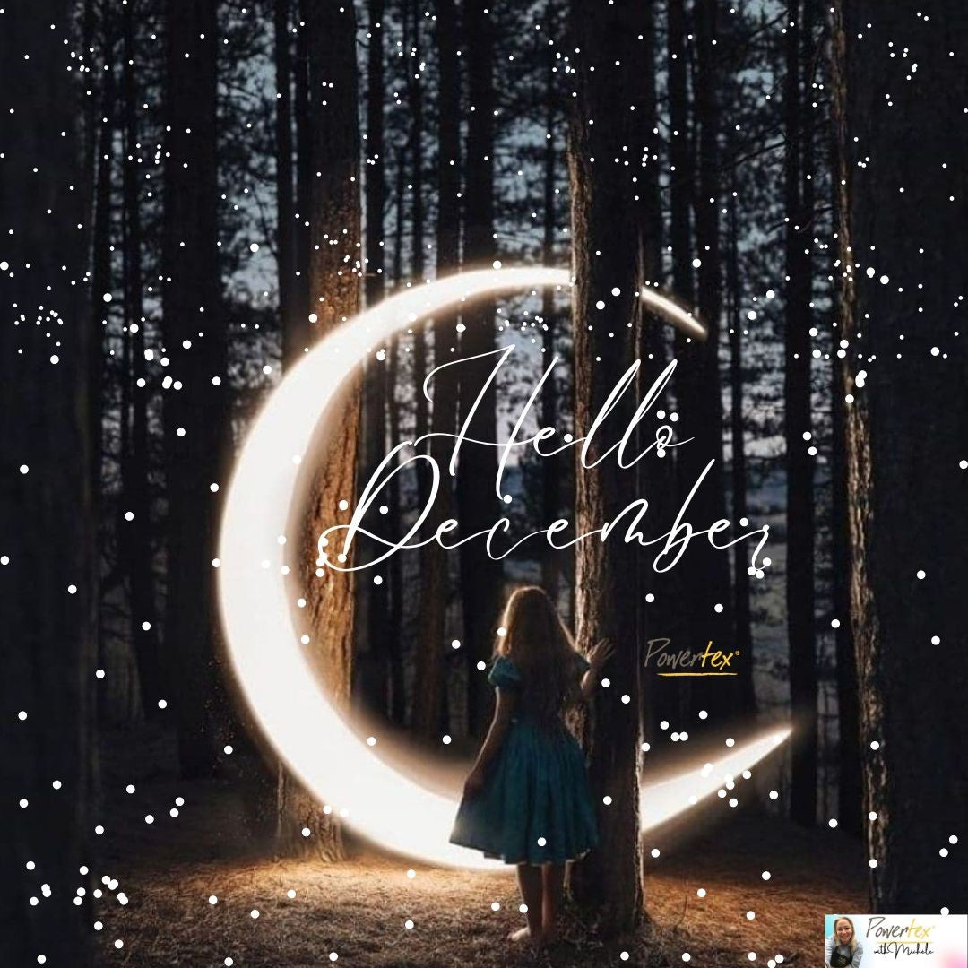 December Moon Project Box