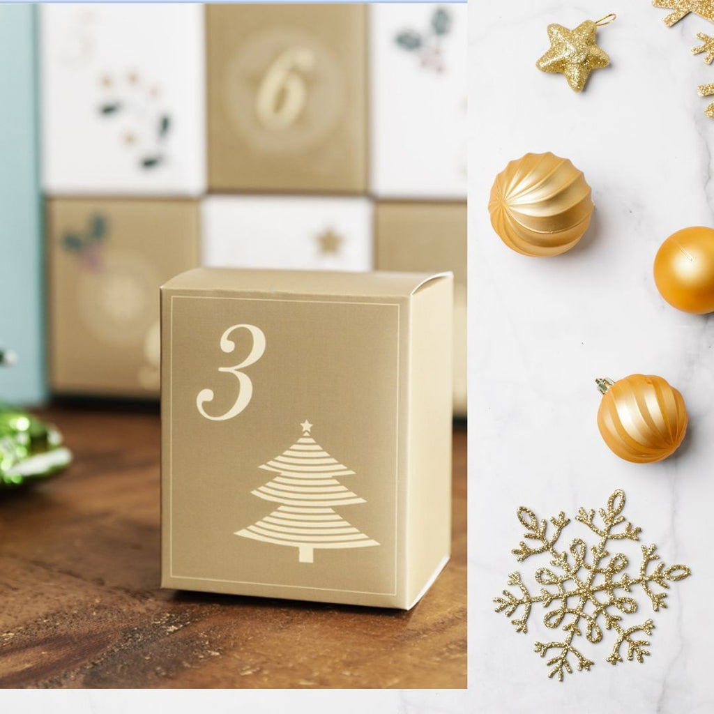 12 Days of Christmas Experience