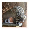 Sturdy Bison - Bundle