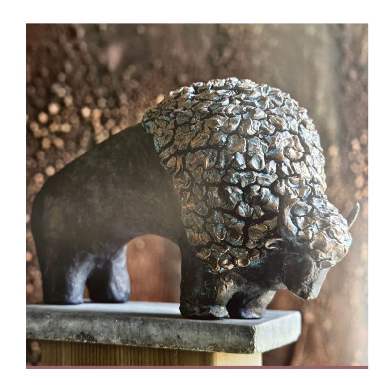 Sturdy Bison - Bundle