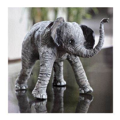 From Pig to Elephant - Project Kit