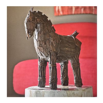Trojan Horse - Project Kit